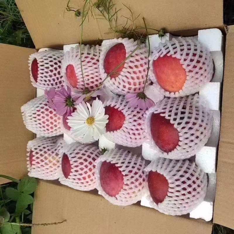 红富士苹果