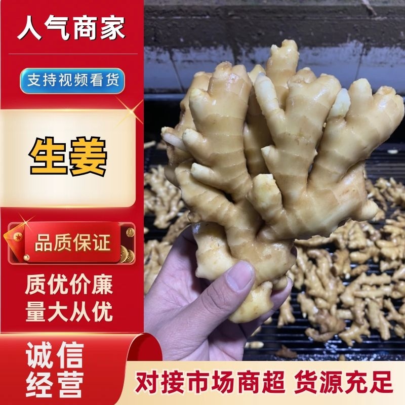 【精品】优质生姜，规格齐全，一手货源，保质保量，价格低