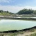 【甲鱼】南丰老甲鱼大量供应基地直发对接全国市场电商