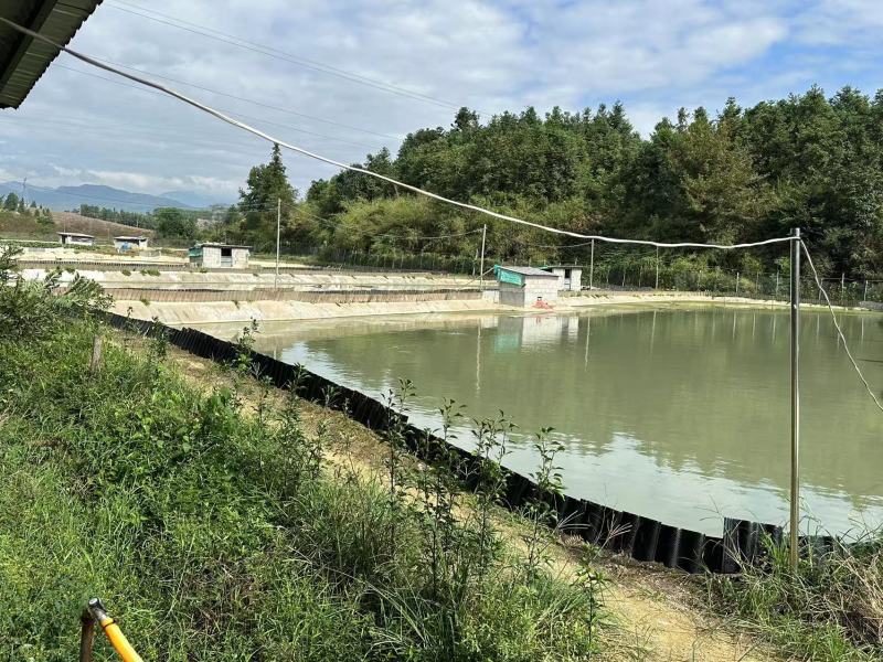 【甲鱼】南丰老甲鱼大量供应基地直发对接全国市场电商