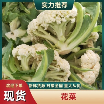 精品菜花白面青梗松花菜万亩基地对接加工厂市场电商代发全国