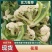 精品菜花白面青梗松花菜万亩基地对接加工厂市场电商代发全国