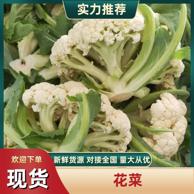精品菜花白面青梗松花菜万亩基地对接加工厂市场电商代发全国