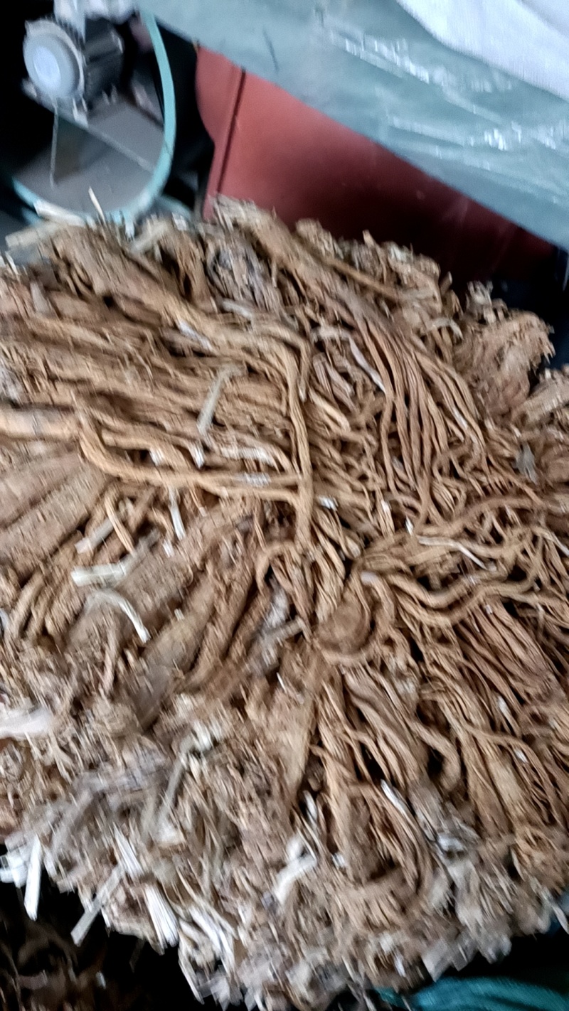 独活水洗独活规格齐全量大从优一手货源欢迎咨询