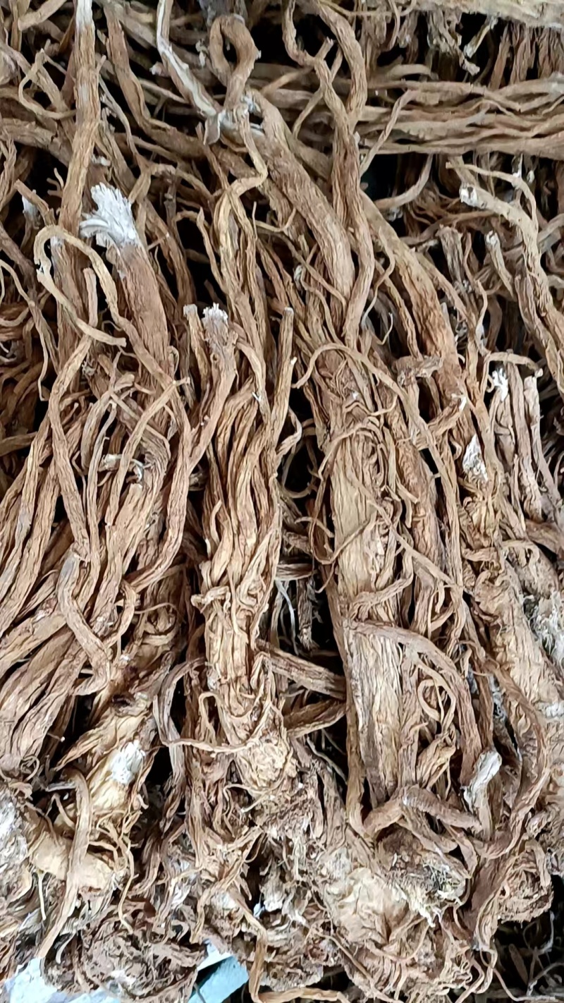 独活水洗独活规格齐全量大从优一手货源欢迎咨询