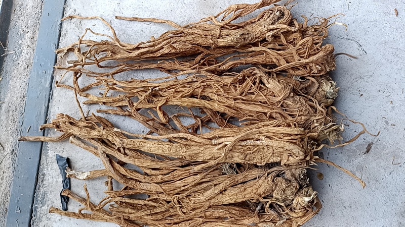 独活水洗独活规格齐全量大从优一手货源欢迎咨询