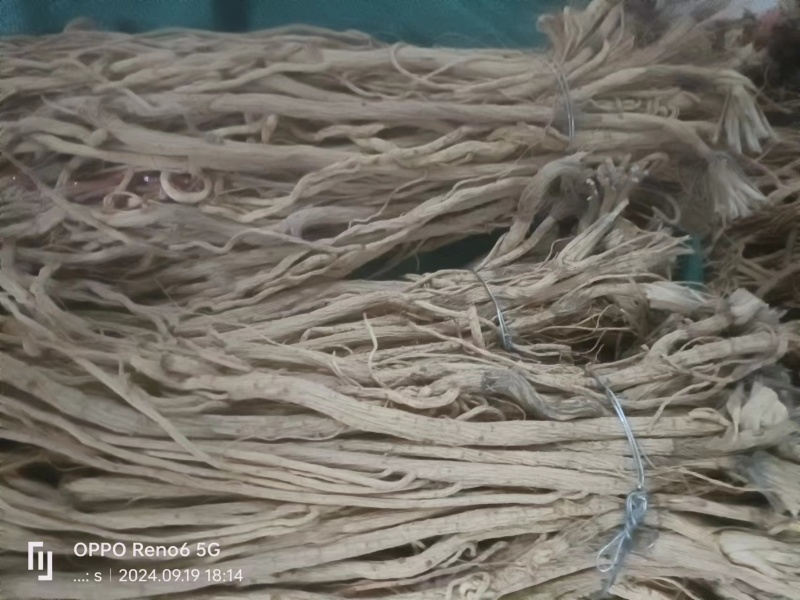 防风精品防风产地直发甘肃道地药材保真保量欢迎选购