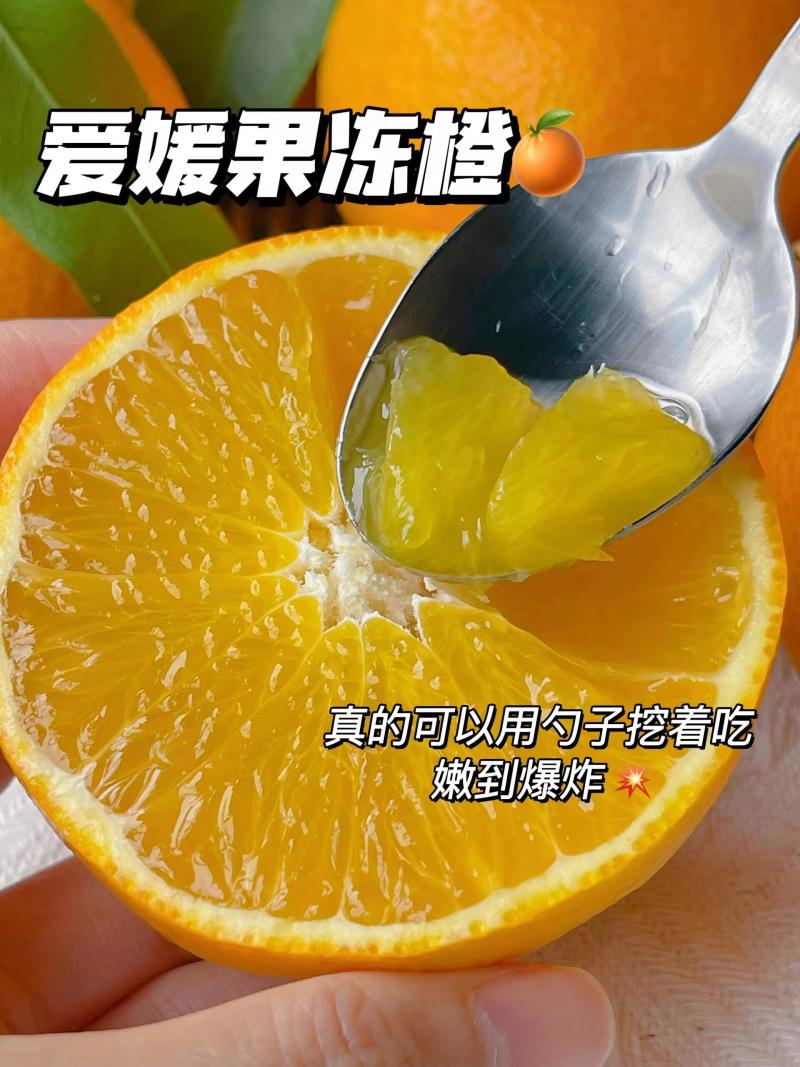 爱媛橙四川脐橙产地一手货源，大量现货可视频看货
