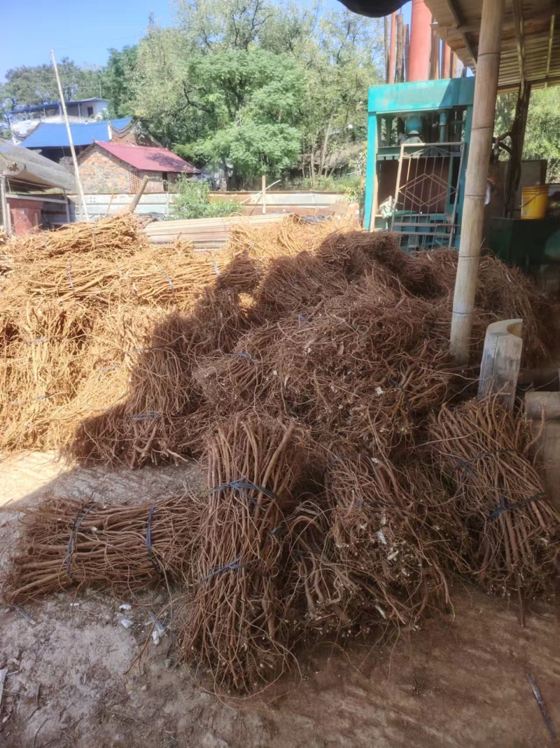 千斤拔干货产地直发品质保障量大优惠视频看货长期供货