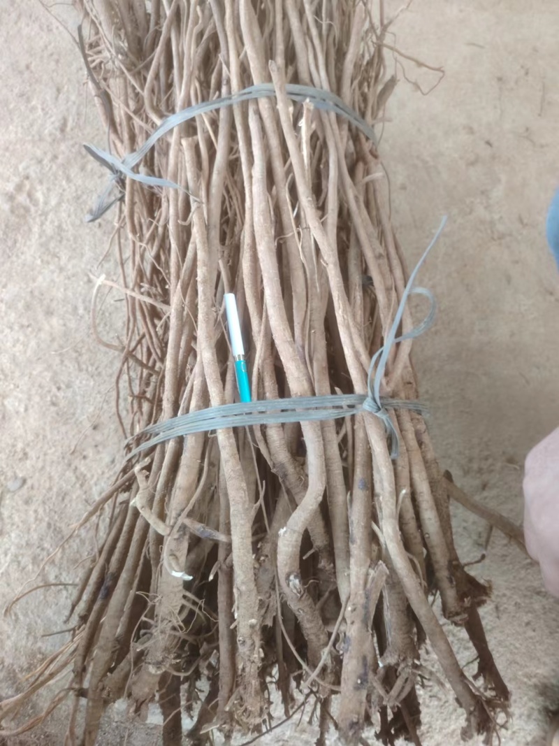 千斤拔干货产地直发品质保障量大优惠视频看货长期供货