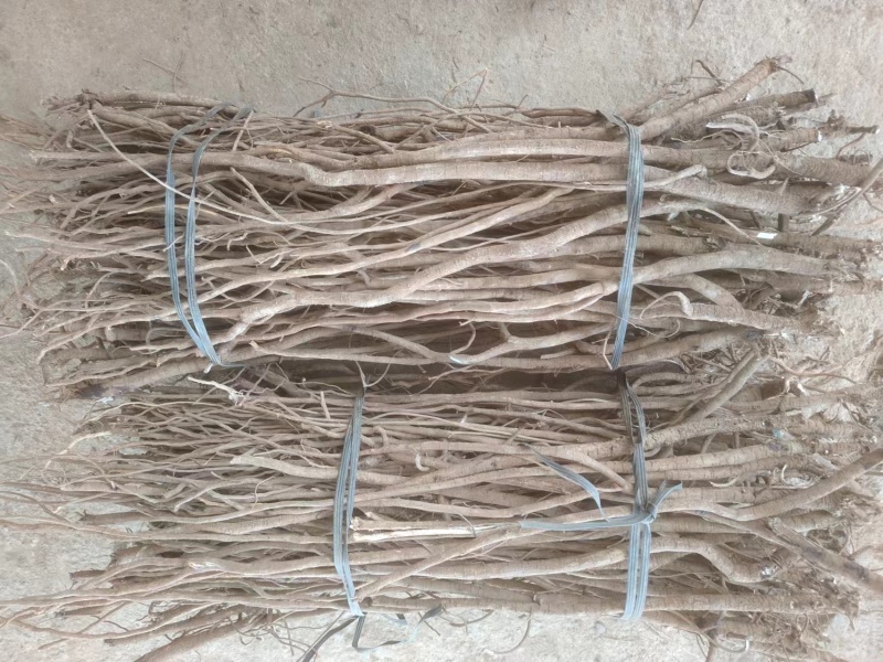 千斤拔干货产地直发品质保障量大优惠视频看货长期供货