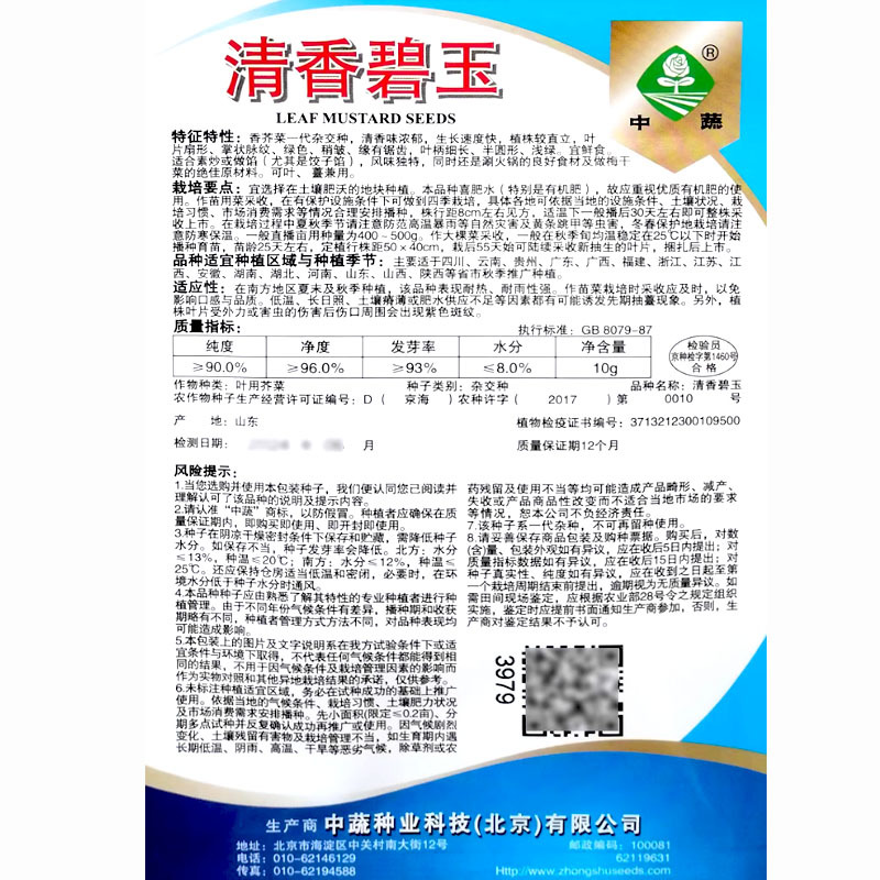 清香碧玉香芥菜种子味浓郁长速快饺子菜速生叶菜