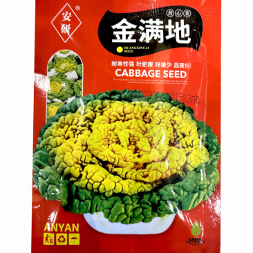 黄心乌塌菜种子秋季耐寒蔬菜金满地大田基地种植