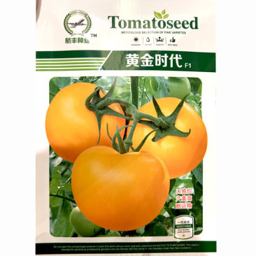 黄番茄种子黄金时代黄色沙瓤番茄种子西红柿子种籽番茄种孑