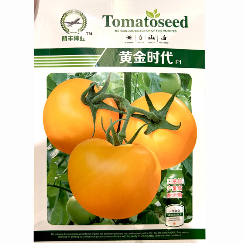 黄番茄种子黄金时代黄色沙瓤番茄种子西红柿子种籽番茄种孑