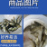 鲲腾优选缩骨大头鱼苗纯正血统全国直售技术支持