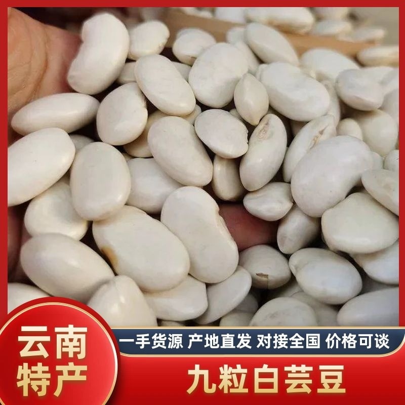 云南高山白芸豆，65粒。干度好，性价比高！