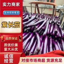 （实力）紫长茄大量上市，产地一手货源，价格便宜，诚信