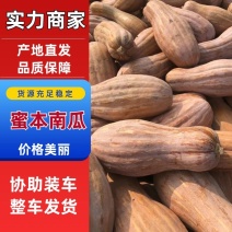 【南瓜】密本南瓜广东直发金瓜大量供应质量保证代发全国市场电联