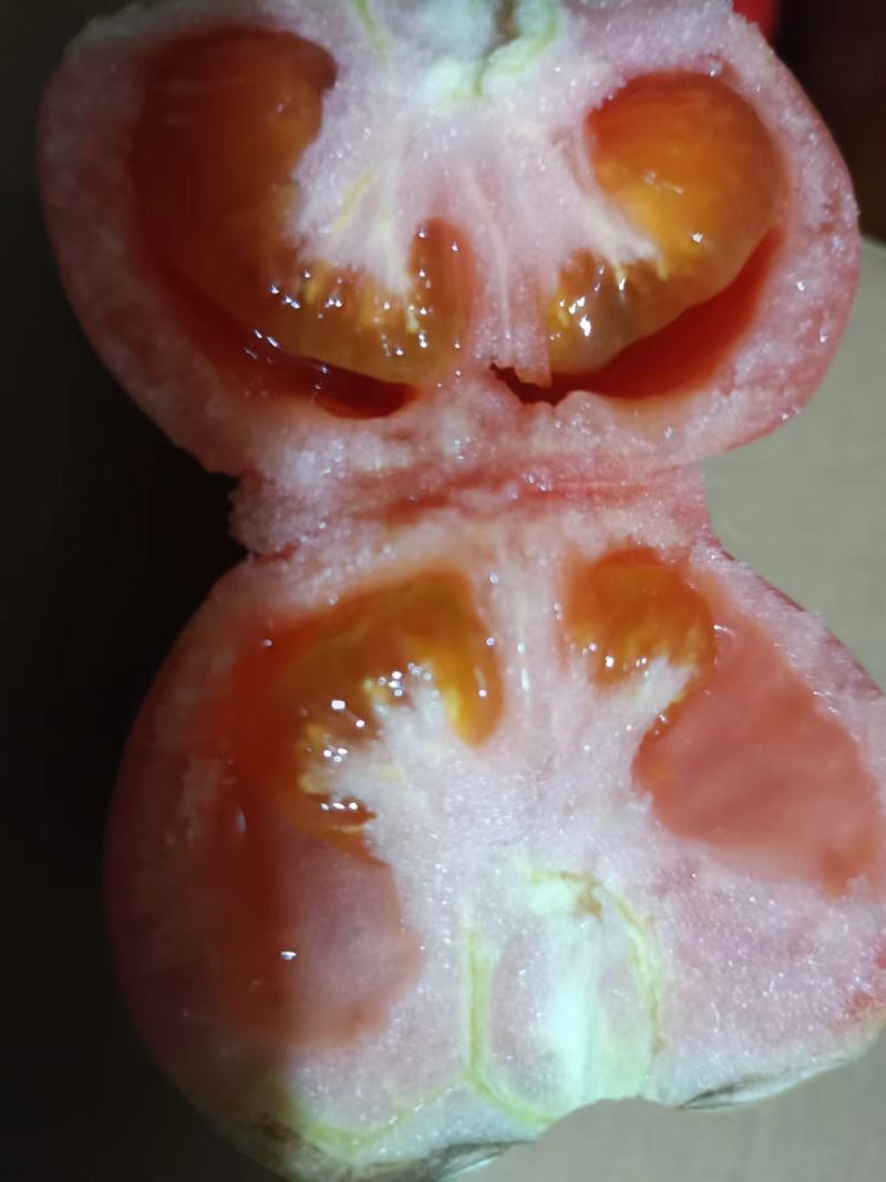 内蒙古精品硬粉西红柿果型好硬度好品质保证对接超市平台
