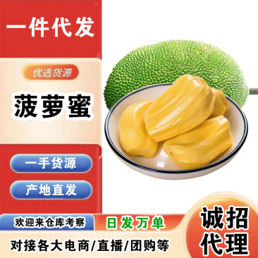 海南黄肉菠萝蜜一件代发产地直发一手货源对接各大电商平台
