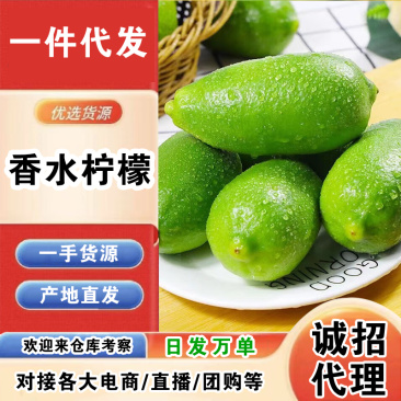 海南香水柠檬一件代发产地直发一手货源对接各大电商平台