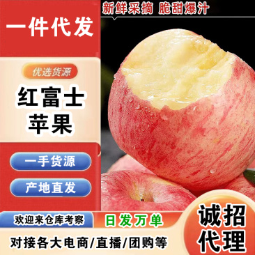 【招代理】烟台红富士/一件代发/产地直发/一手货源