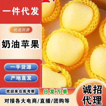 山东奶油苹果一件代发产地直发一手货源对接各大电商平台