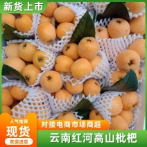 枇杷已经开始陆续上市了，需要的老板可以联系了