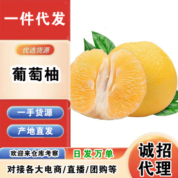 【招代理】福建葡萄柚/一件代发/产地直发/一手货源