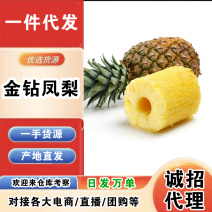 海南金钻凤梨一件代发产地直发一手货源对接各大电商平台