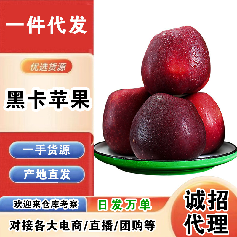 云南黑卡苹果一件代发产地直发一手货源对接各大电商平台