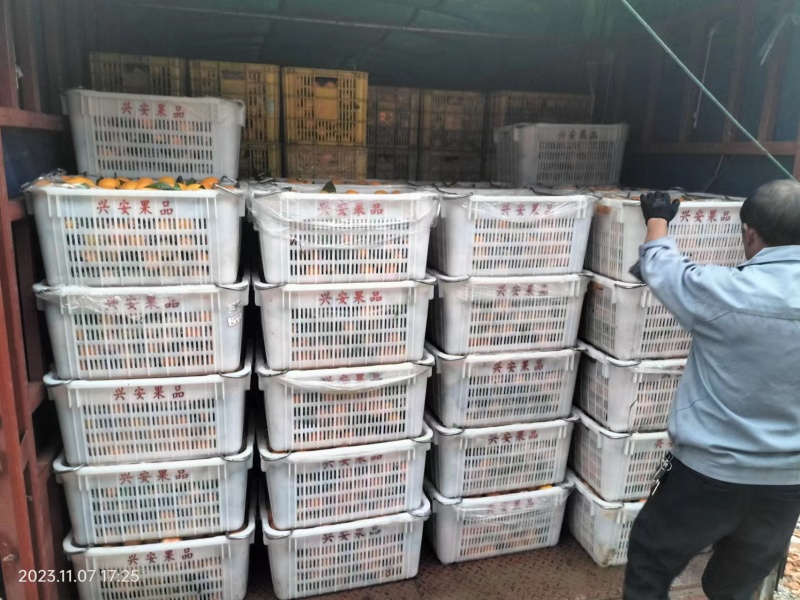 精品蜜橘产地直发代发全国支持市场商超可看货