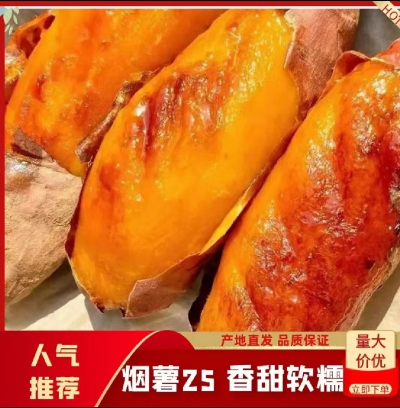 【烟薯25】大量从优规格齐全全国发货保质保量