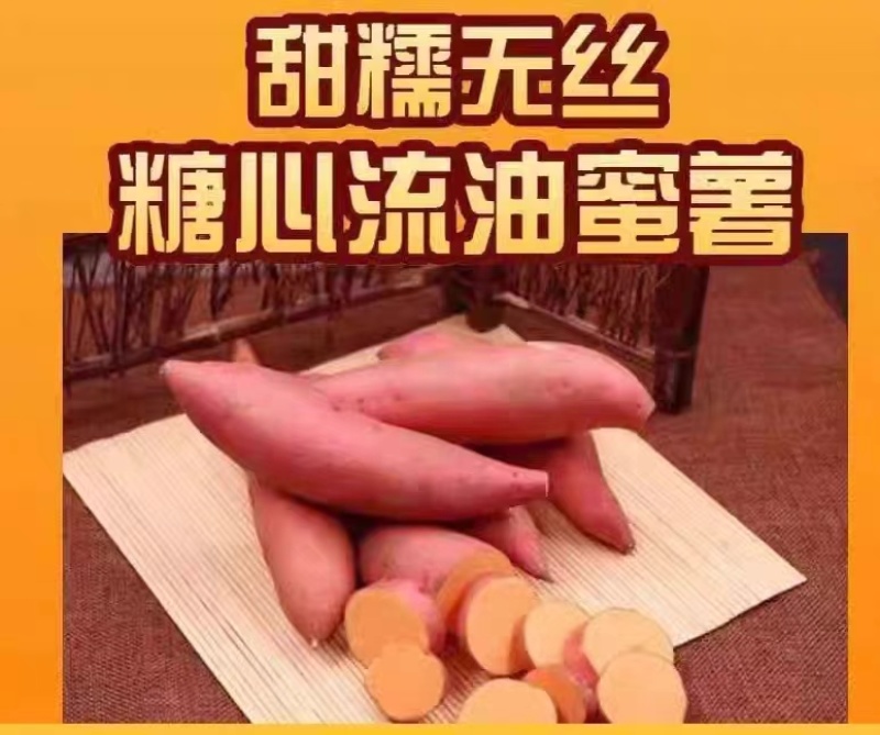 【烟薯25】大量从优规格齐全全国发货保质保量
