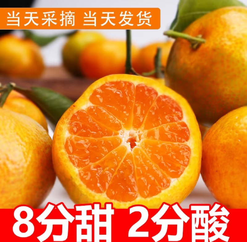 【砂糖橘】承接电商批发直播带货社区团购按需求分拣大小打包