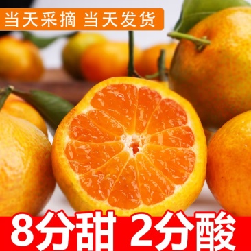 【蜜橘】湖北蜜橘特早普早蜜橘现摘现发颜色靓丽全国接单电商