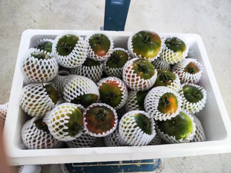 草莓西红柿，精品西红柿大量上市，品质放心欢迎来电咨询