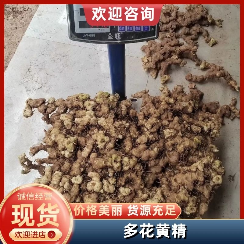 四川精品鸡头黄精，产地一手货源，规格多样可选量大从优
