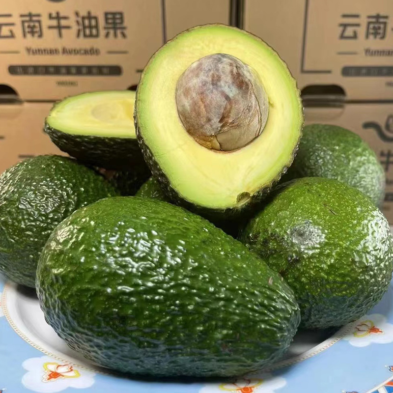 云南牛油果一件代发