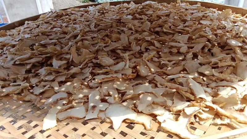 多花姜形甜黄精鲜货干货接受预定量大从优对接市场