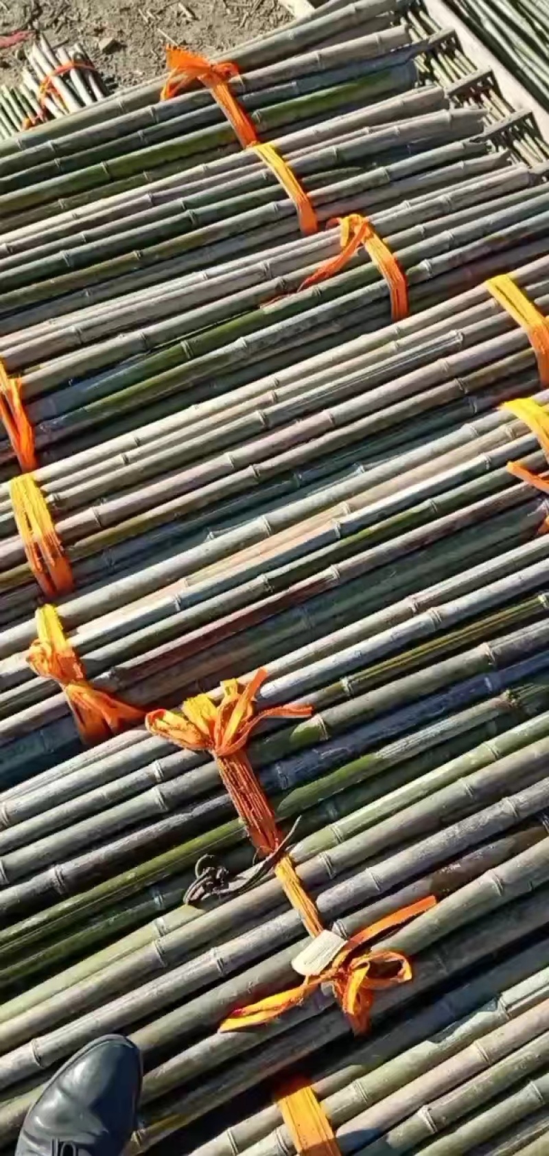 【精品竹竿】竹竿、冬瓜架、西红柿架、植树竿