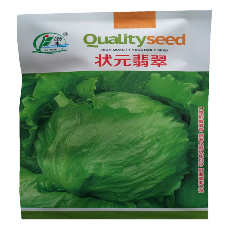 结球生菜种子状元翡翠球形生菜种子中早熟耐热耐抽苔