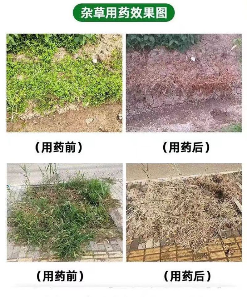精草铵膦铵盐新日期新包装下单隔天发货