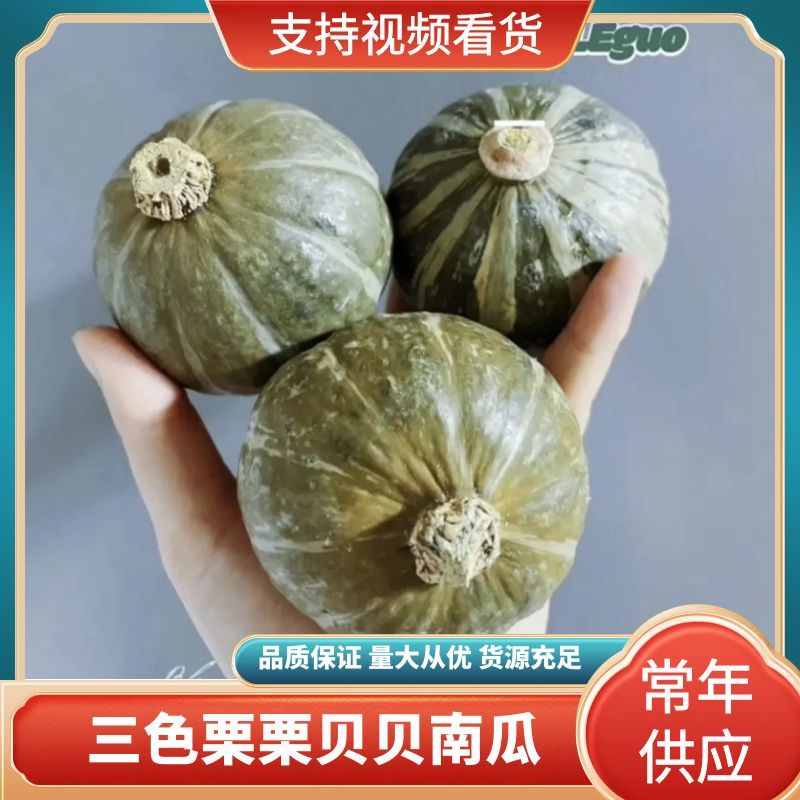 三色栗栗贝贝南瓜粉糯香甜产地直发量大优惠品质保证