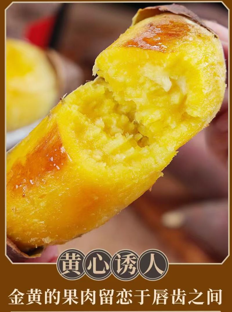 《一件代发》榴莲蜜薯玛莎莉红瑶，软糯香甜