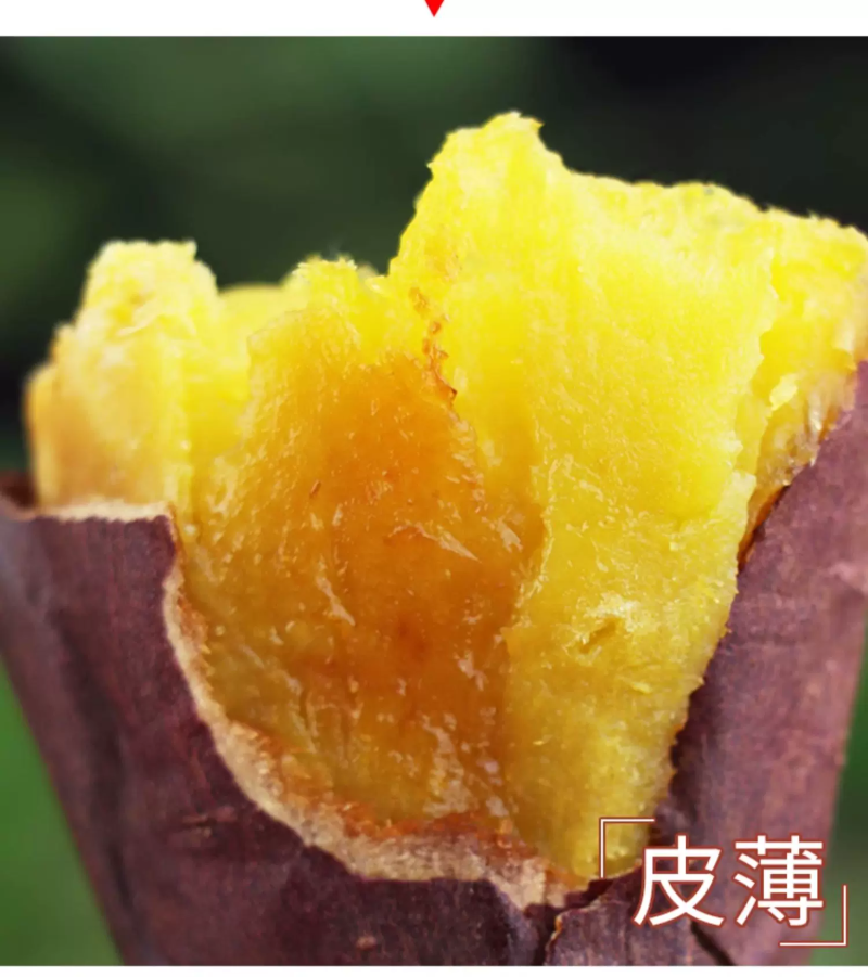 《一件代发》榴莲蜜薯玛莎莉红瑶，软糯香甜
