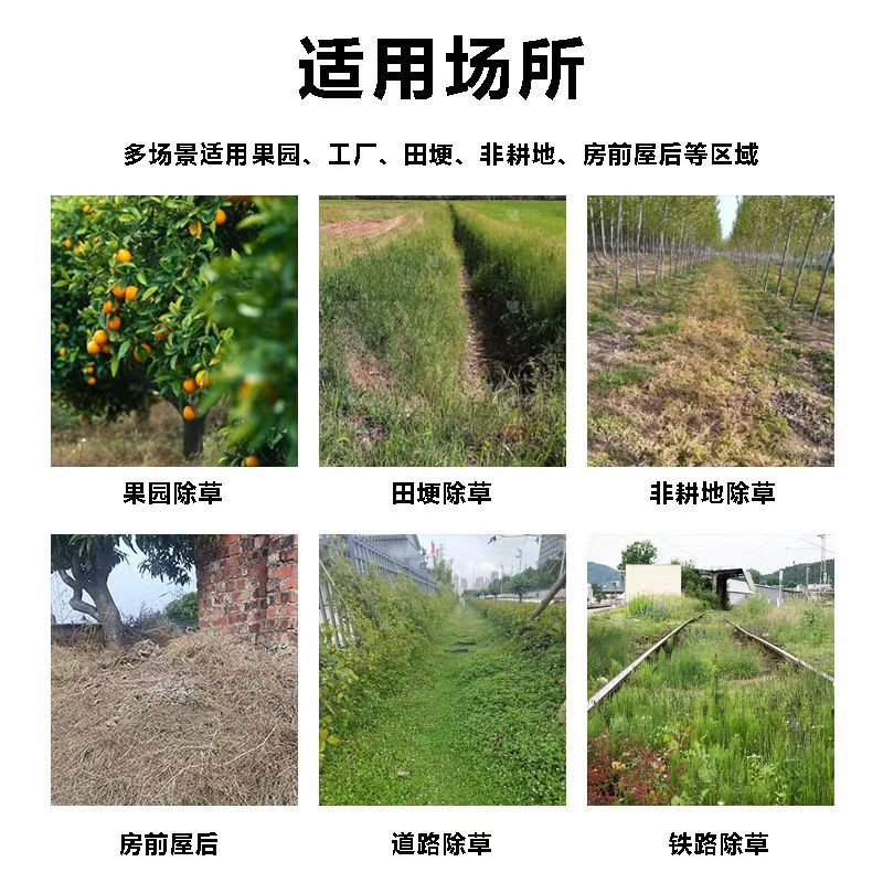 敌草快上午打草下午枯萎