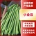 云南精品小金豆四季豆一件代发社区团购地头一手货源不限量