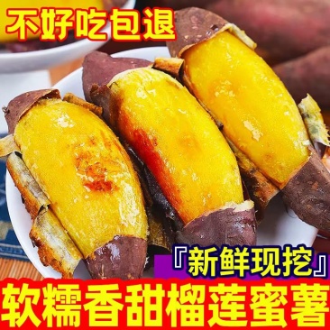 【一件代发】榴莲蜜薯玛莎莉红瑶丝滑软糯香甜